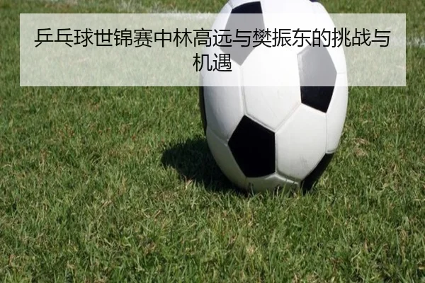 乒乓球世锦赛中林高远与樊振东的挑战与机遇